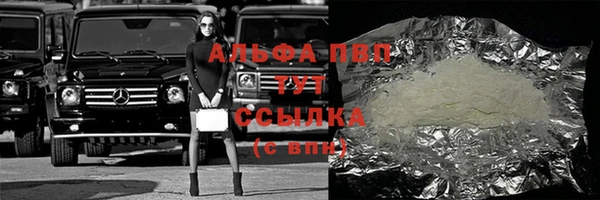 прущие грибы Арсеньев
