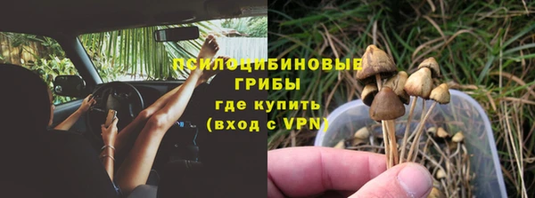 прущие грибы Арсеньев