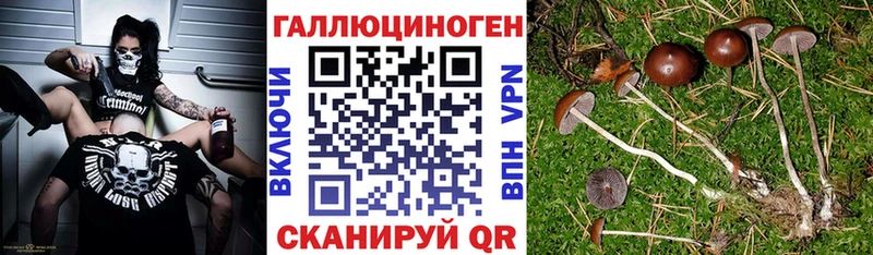 закладка  Гай  ссылка на мегу маркетплейс  Псилоцибиновые грибы MAGIC MUSHROOMS 